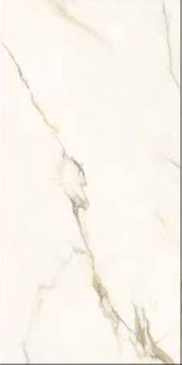 Time Dorado Matte 12 x 24